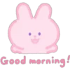 Cute Bunny   Pink   (C) 10