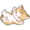 Cute baby cats 12