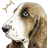 Cute Dogs 18