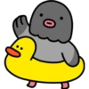Black Bird 14