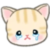 Cute baby cats 15