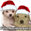 ️  Random Navideño   ️ 13