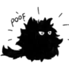Cat black 11