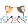 Cute baby cats 17