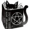 Cat black 13