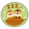 ZZ..