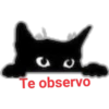 Cat black 14