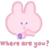 Cute Bunny   Pink   (C) 11