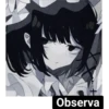 Observa
