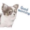 Good
morning