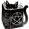 Cat black 15