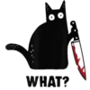 Cat black 16