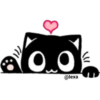 Mew Mew Blacky 17
