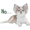 No...