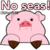 No seas!
KOB Bralen K