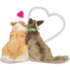 Cute Dogs 26