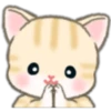 Cute baby cats 20