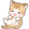 Cute baby cats 22