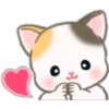 Cute baby cats 24