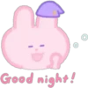 Cute Bunny   Pink   (C) 14