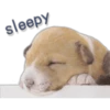 sleepy