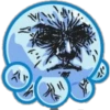 시