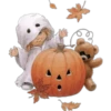 Cute Halloween 2 Clásica 20