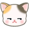 Cute baby cats 26