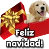 Jo Jo Jo! Tengo Tu Regalo! 28