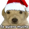 ️  Random Navideño   ️ 26