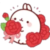 <3 Kawaii Rabbit 5 <3 30