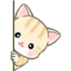 Cute baby cats 30