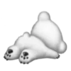 Koabear 6