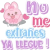 Bunny pink love 2 6