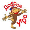 Poe
YTV