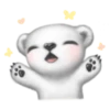 Koabear 10