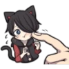 BLACK KITTEN 2 16
