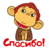 Спасибо!