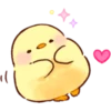 Soft and Cute Chicks 15
