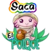 axolotl  mi amigo 2 10