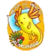 axolotl  mi amigo 2 11