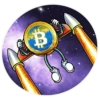 BITCOINPAY 15