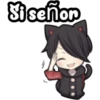 BLACK KITTEN 2 22