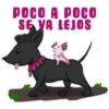 axolotl  mi amigo 2 13