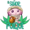 axolotl  mi amigo 2 17