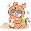 PERRO SAFARI 24