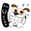 Smiling Dog 16