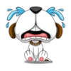 Smiling Dog 20