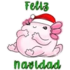 axolotl  mi amigo 2 22