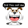 Smiling Dog 24